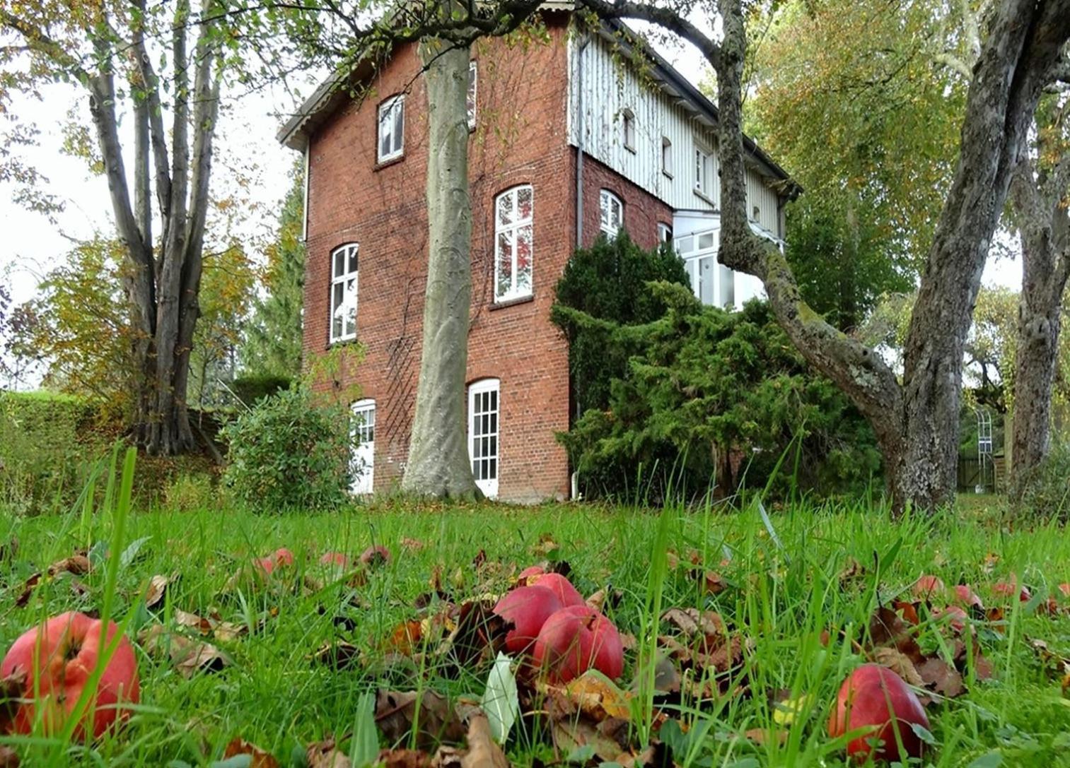 קפלן Ferienhaus Naturlich Wassermuhle מראה חיצוני תמונה